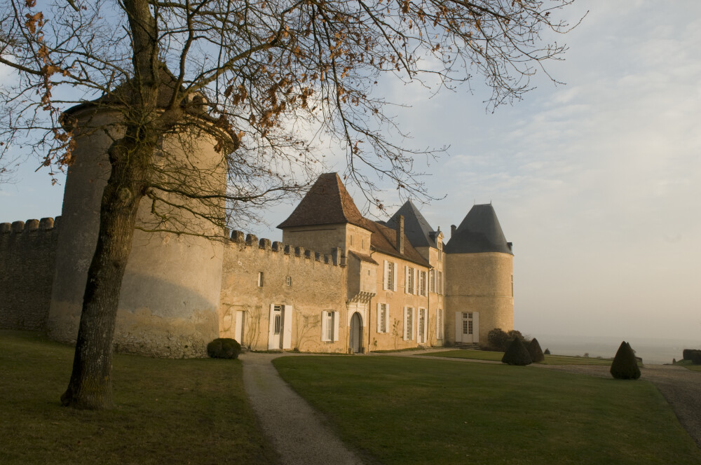 10 Things to know about Chateau d'Yquem